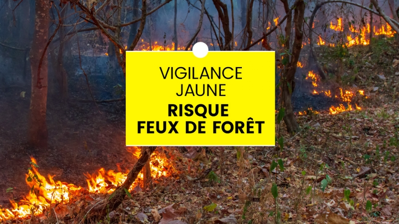 (0)Vigilance-Feux-de-foret-jaune.jpg