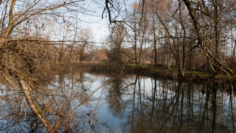 marais-saone.jpg marais-saone.jpg