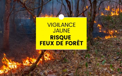 VIGILANCE JAUNE FEU DE FORET