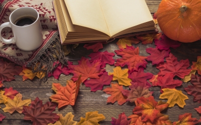 Maison Grand - programme Novembre