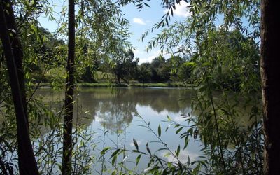 etang-durgeons-etalans-peche-carpe-doubs-01