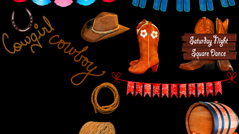 (0)cowboy-3671426_640.png