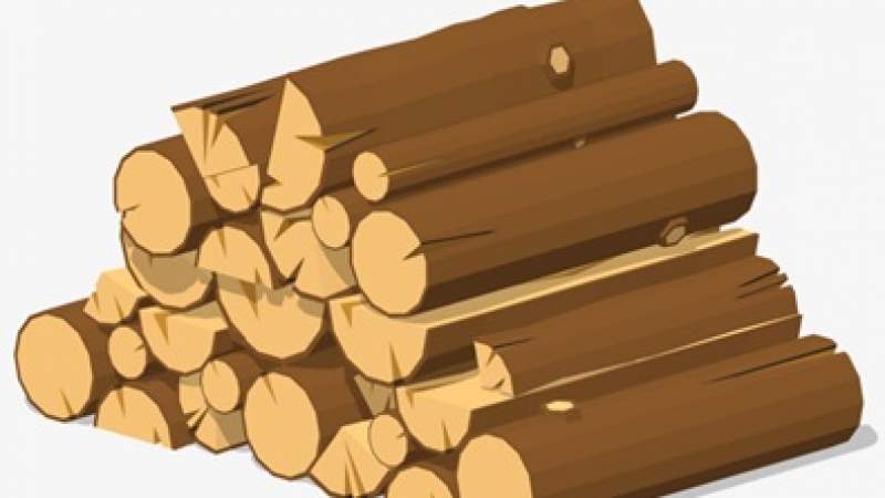 Vente-Bois-Image-Tas-de-Bois-réduit.jpg